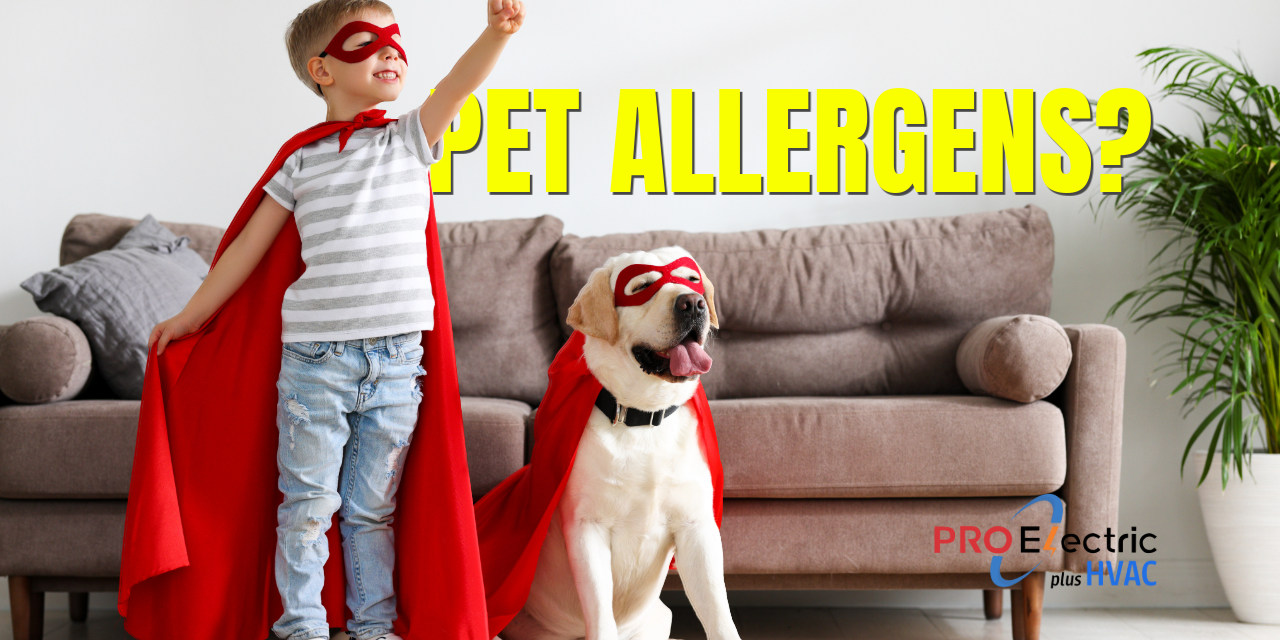 50 Challenges When Kids Are Allergic to Pets