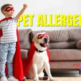 kids allergic to pets, pet allergies in children, dog and cat allergens, HEPA air filter installation, PRO Electric plus HVAC, reduce pet allergens, indoor air quality solutions, allergy-friendly home, combat pet dander, family health with pets, managing pet allergies, air purification systems, allergic reactions to pets, children with pet allergies, improve air quality, asthma triggers from pets, clean indoor air, HVAC services for allergies, pet-induced allergies, professional HVAC installation, pet dander reduction, allergies to dogs and cats, healthy home environment, pet allergy solutions, reduce airborne allergens